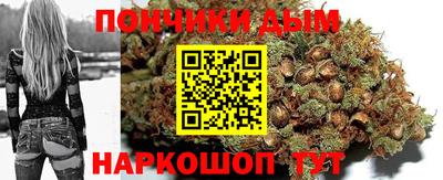 дживик Моздок