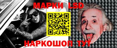 дживик Моздок