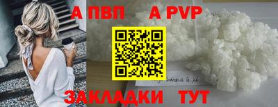 дживик Моздок