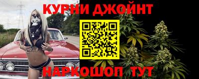 дживик Моздок